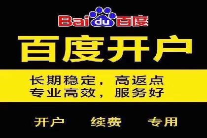 百度竞价排名服务的广告投放技巧与策略